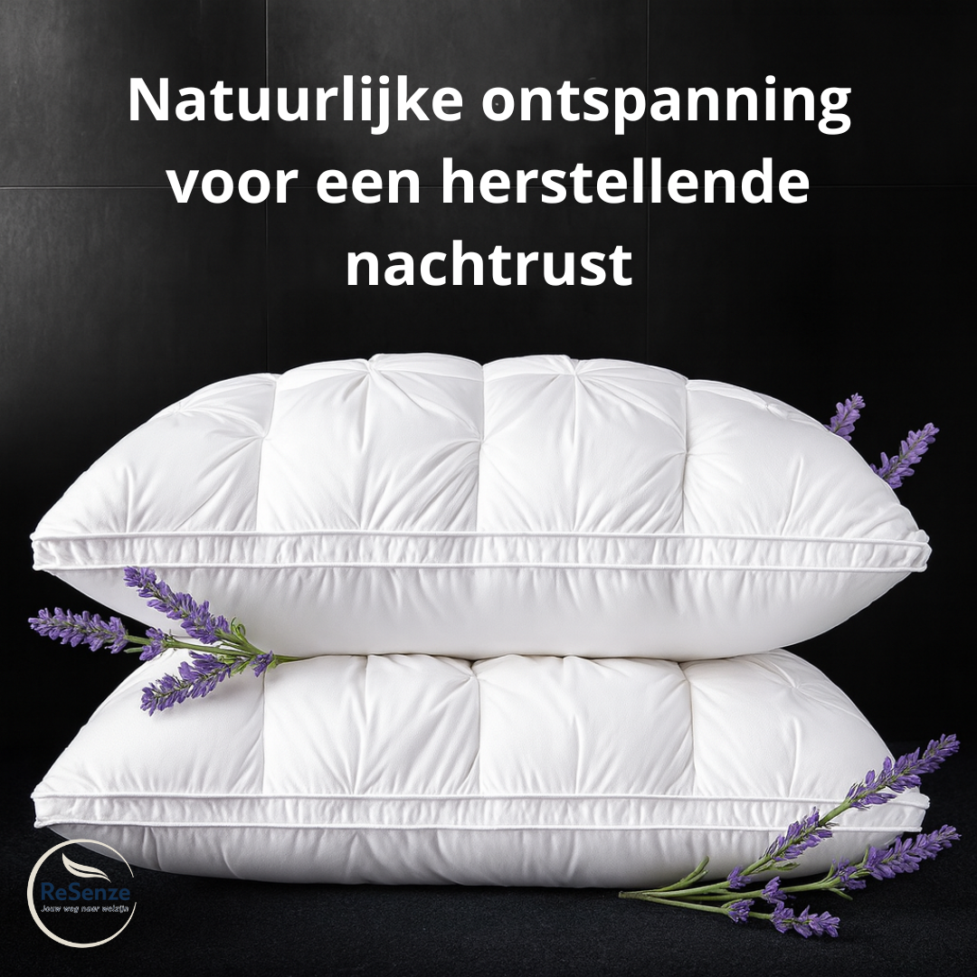 Hoofdkussen - 2 Premium Kussens. 1 Prijs. 0 Compromissen