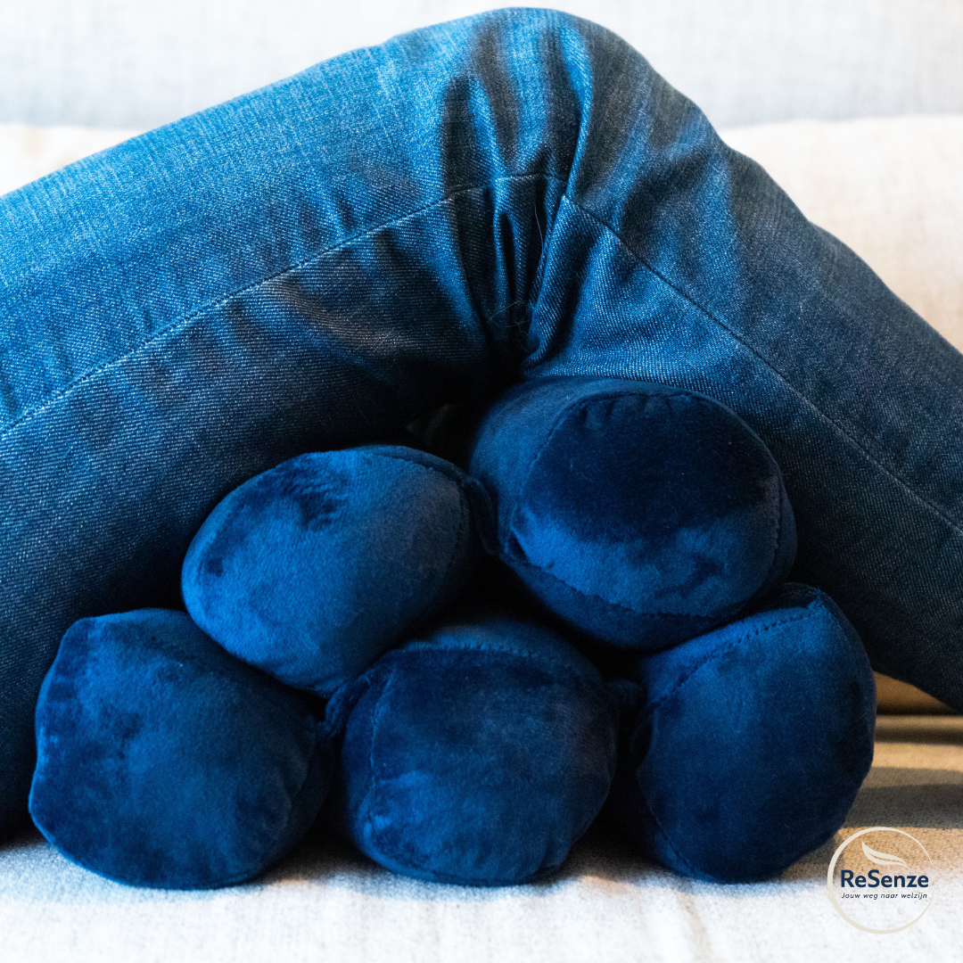 Wellys Meervoudig steunkussen - 5 standen