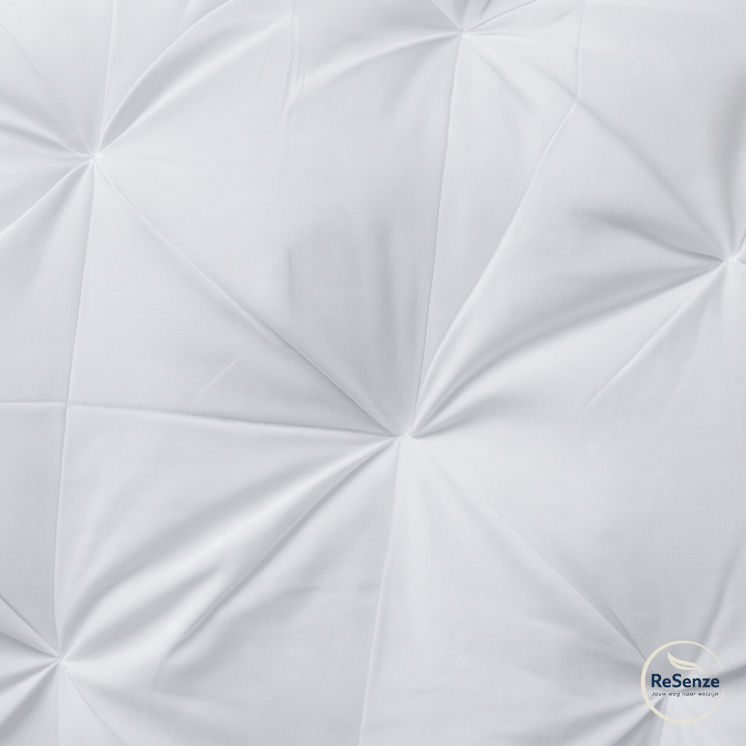 Hoofdkussen - 2 Premium Kussens. 1 Prijs. 0 Compromissen